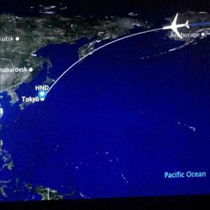 Meet your Posher, Hassan